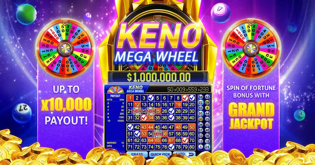 333bet5 mugni cassino livre